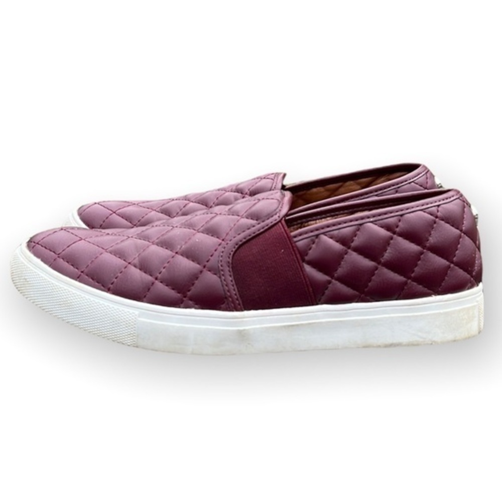 Steve Madden Eccentric Slip on leather sneaker wine color